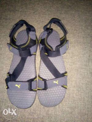 Puma sandal for cheap price because of size