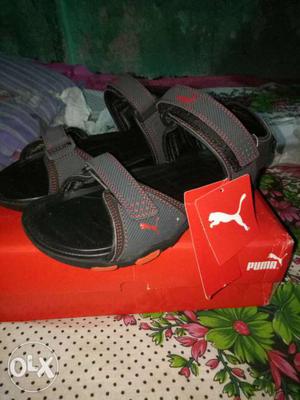 Branded puma sandal size 8
