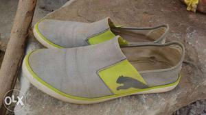 It is a puma company shoes only 2 month back I