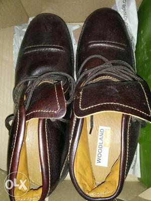 Men's Brown Woodland Leather Shoes