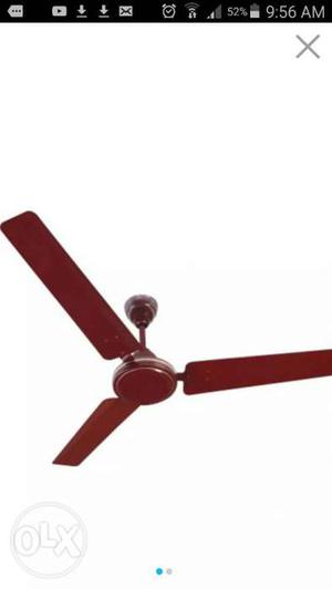 Orpat fan at wholesale price