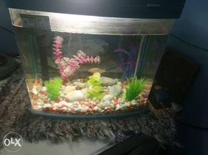 A Fish Tank for sale along with filter heater