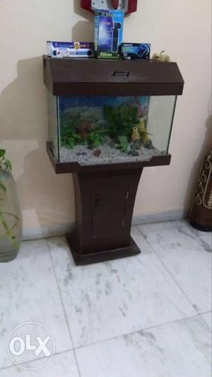 An ornament aquarium that accentuates your home