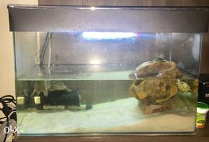Aquarium Curved Fish Tank.  ft dimensions