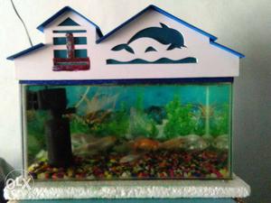 Black Fish Tank