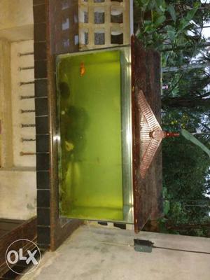 Brown Wooden Framed Fish Tank