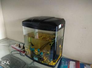 Fish aquarium with 1 fish, filter