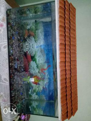 Fish tank..with stones and roof..