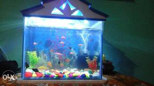 Full White And blu Fish Tank Aquarium