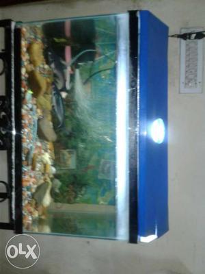 Full aquarium with table