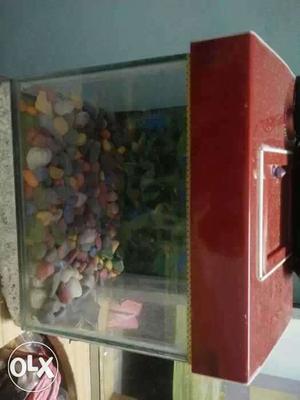 Its a mini aquarium with pebbles in it and in new