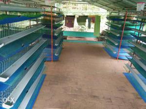 Licensed POULTRY cage and farm setting company