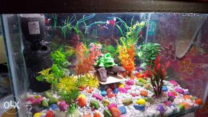 New lessused aquarium with all categories material