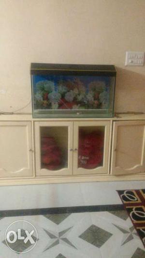 Newly bought fish tank with stones wallpaper n