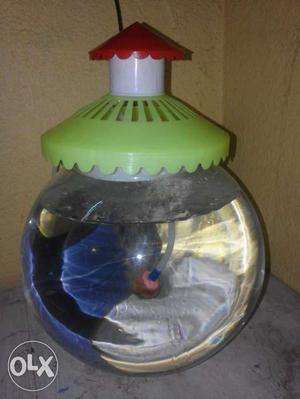Small Round Aquarium