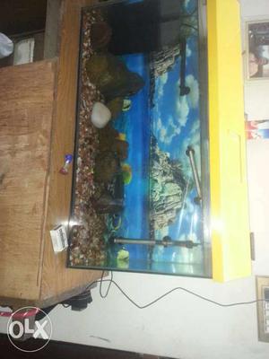 Two months old fish tank. With hiter. pump. and