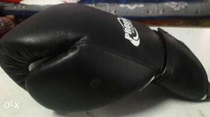 BOXING GLOVES (BRAND NEW) not torn no defect in