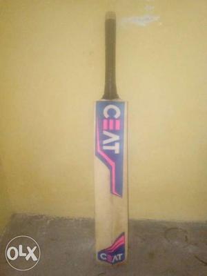 Black, Blue, And Brown Ceat Cricket Paddle