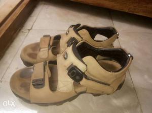 Brown Leather Velcro Sandals