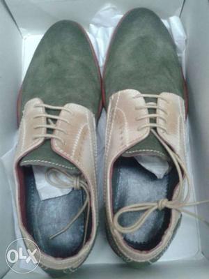 Green And Brown Loafer Shoes