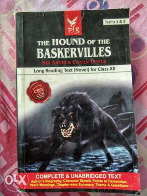 The Hound Of The Baskervilles Terms 1 & 2