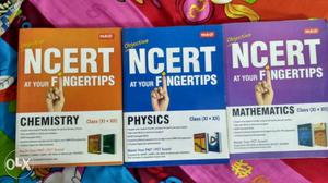 Three NCERT At Your Fingertips Books