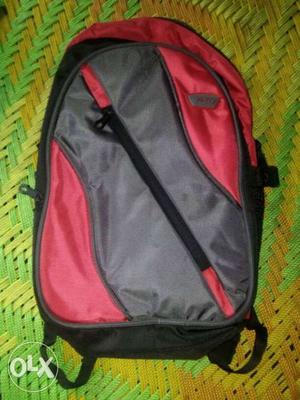 Gray, Black, And Red Zip Backpack