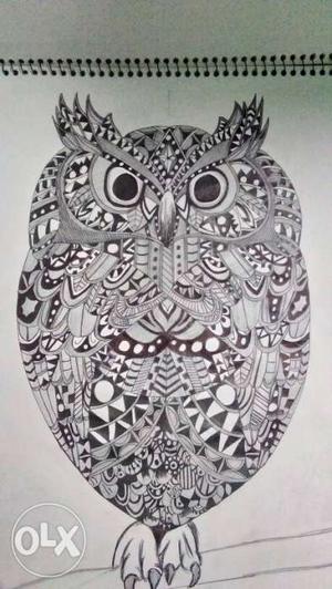 Black And Gray Owl Sketch