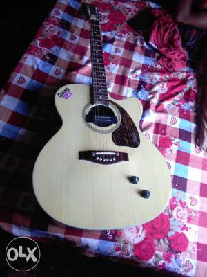Givsin guitar jumbo size 4 month old excellent condition