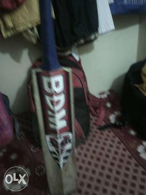 It's bdm bat and its kasmiri willow playing with