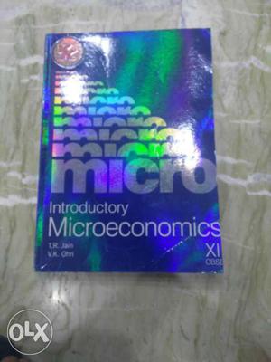 Micro Introductory Microeconomics Book