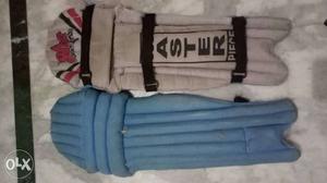 Pair of batting pads. want to sell urgently.