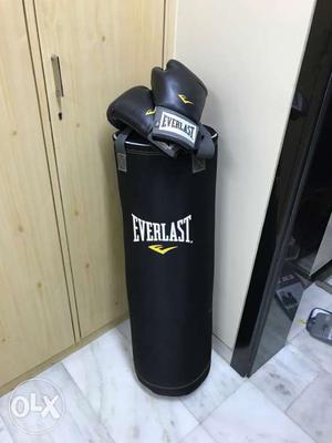 Punching bag, with gloves, not used till now