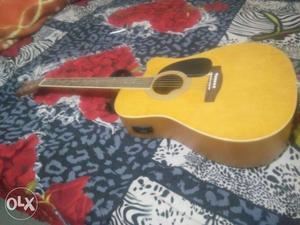 Yellow JIMM Acoustic Guitar