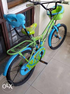 Green And Teal Bicycle