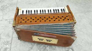 Brown Accordion