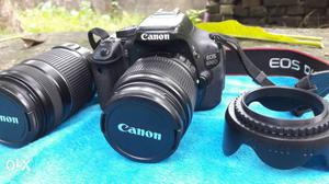 Canon 600d sell or exchange with nikon d or d