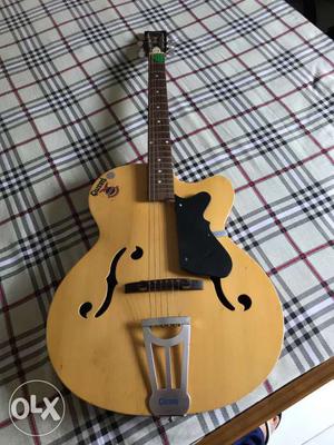 Givson Guitar with cover. no damage done
