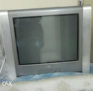 Gray And Silver Sony DLP TV
