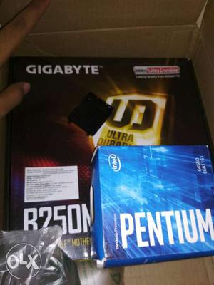 Gigabyte B250m Motherboard and Pentium G Processor