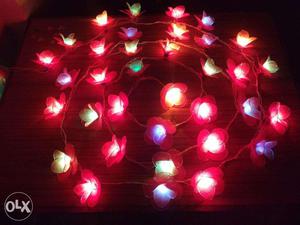 LED Diwali Decorative Lighting Strings
