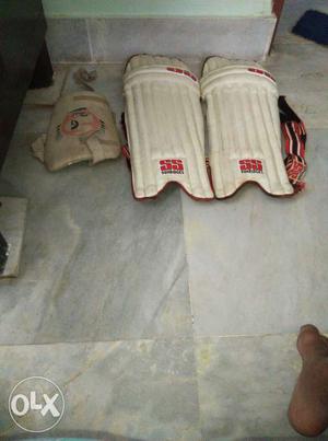 Pair Of White-and-red Goalie Leg Cover