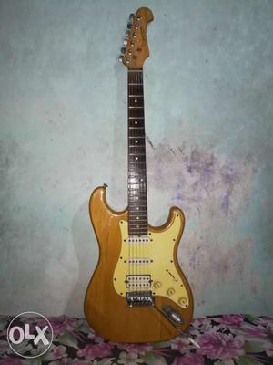 Want to sell my imported J&D Series Guitar made