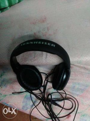 Black Xennheiser Headphones