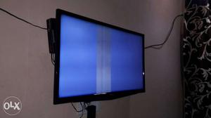Flat Screen Mounted Television