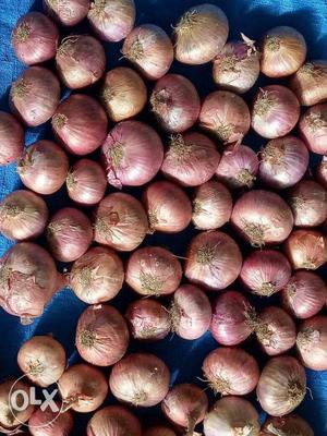 Onions 20KG JST AT 340 INR
