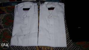 White tericotton shirts