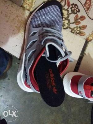 Addidas shoes brand new only size 9 untouched