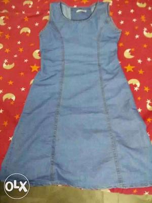Blue Chambray Sleeveless A-line Dress