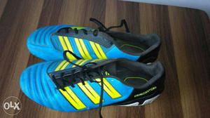 Blue-yellow OG Cleats Addidas Predator football shoes size
